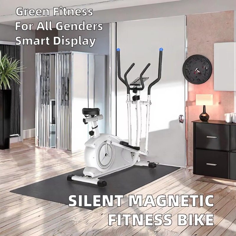 가정용 자석식 리컴번트 엘립티컬 바이크 - 조용한 저항 - Exercise Bike Magnetic Resistance 리뷰 및 가격